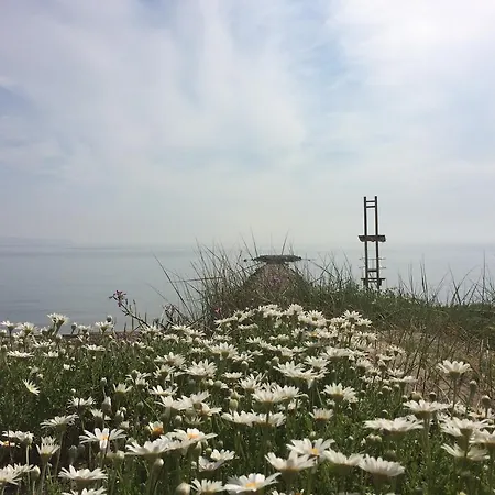 Neapolis 2 公寓 圣马蒂登普里斯